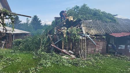 Podrto drevo na kozolec